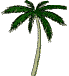 animated palm trees